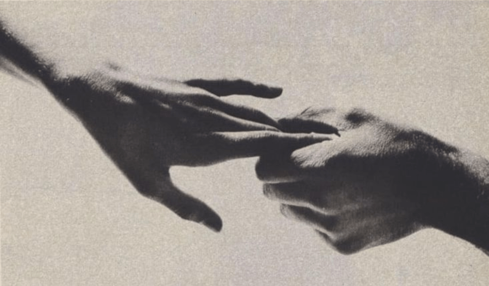 우리, 라는 거짓말